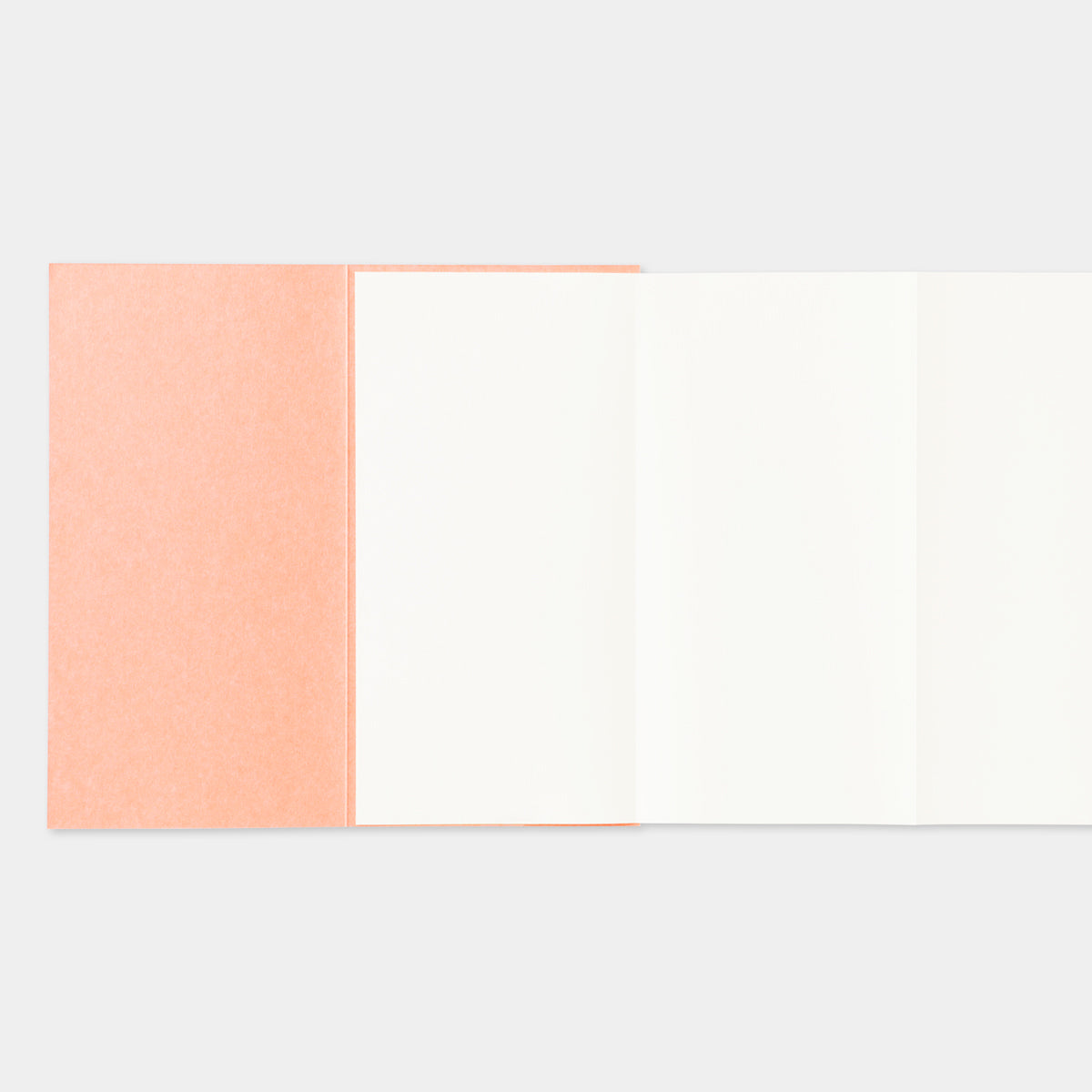 TF Traveler's Notebook - Regular Size Refill - Accordion (Aitor Saraiba)