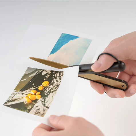 [On Hand] Raymay Fujii Pencut Premium Scissors with Titanium Coating