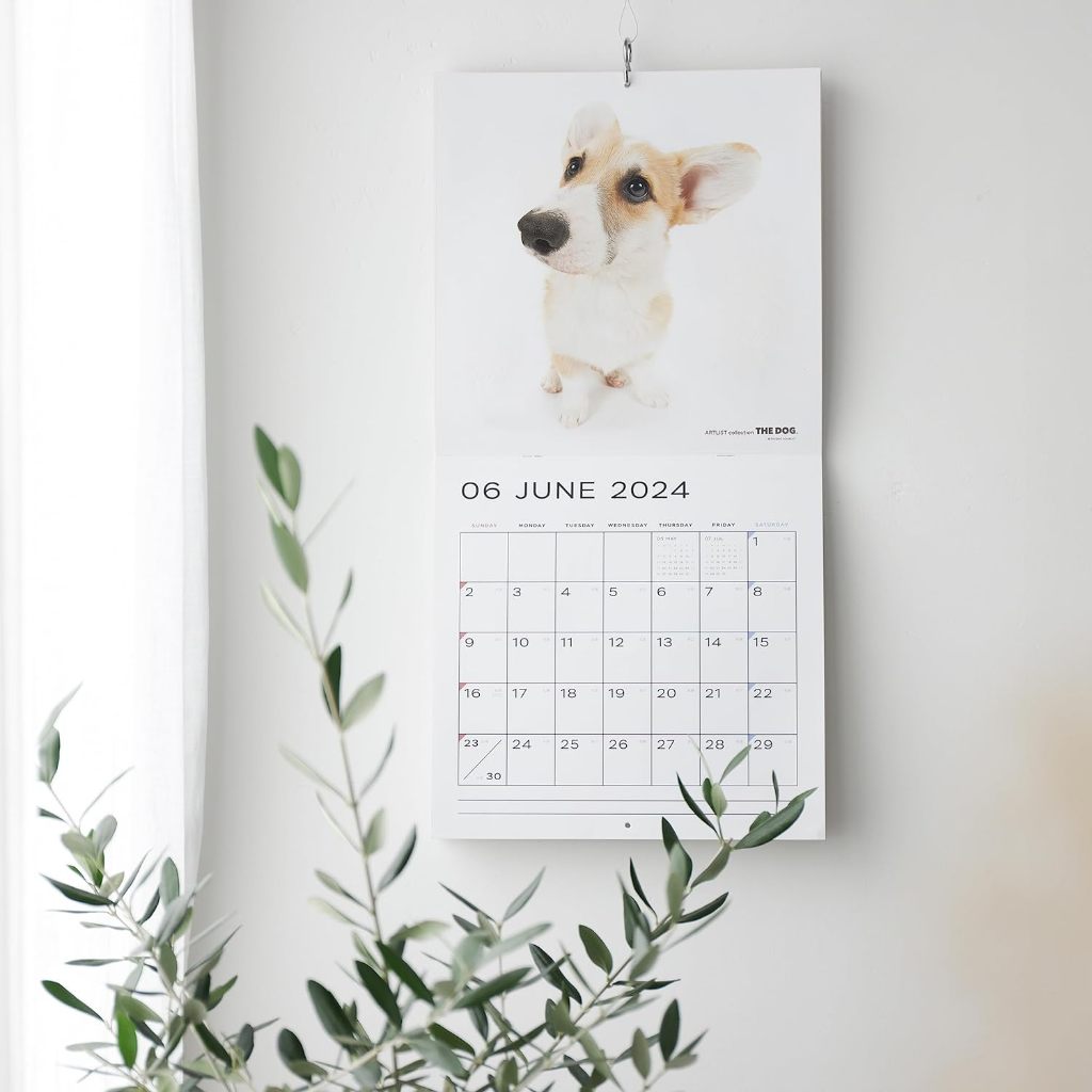 THE DOG 2024 Large Size Calendar [Bichon Frise]