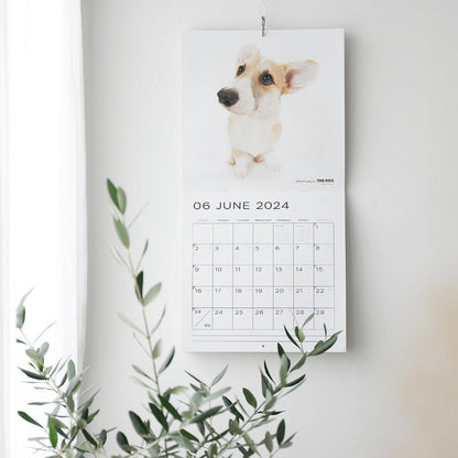 THE DOG 2024 Large Size Calendar [Bichon Frise]