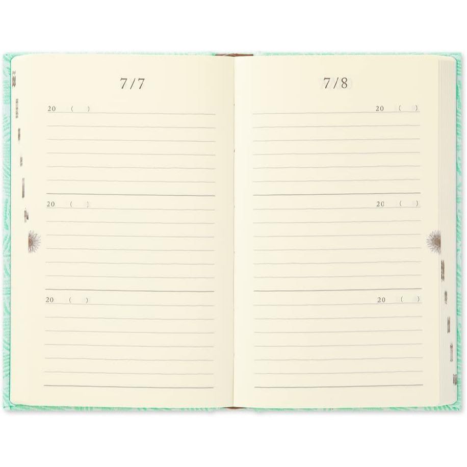 Midori 3 Year Diary Door - 10th Anniversary limited edition