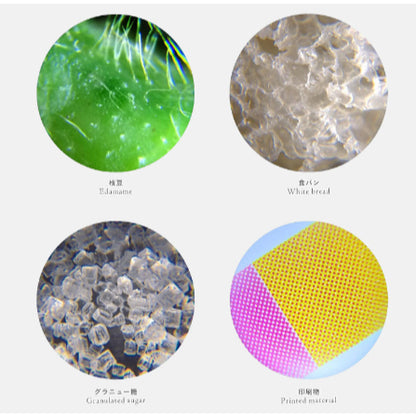 Raymay Handy Petit Microscope