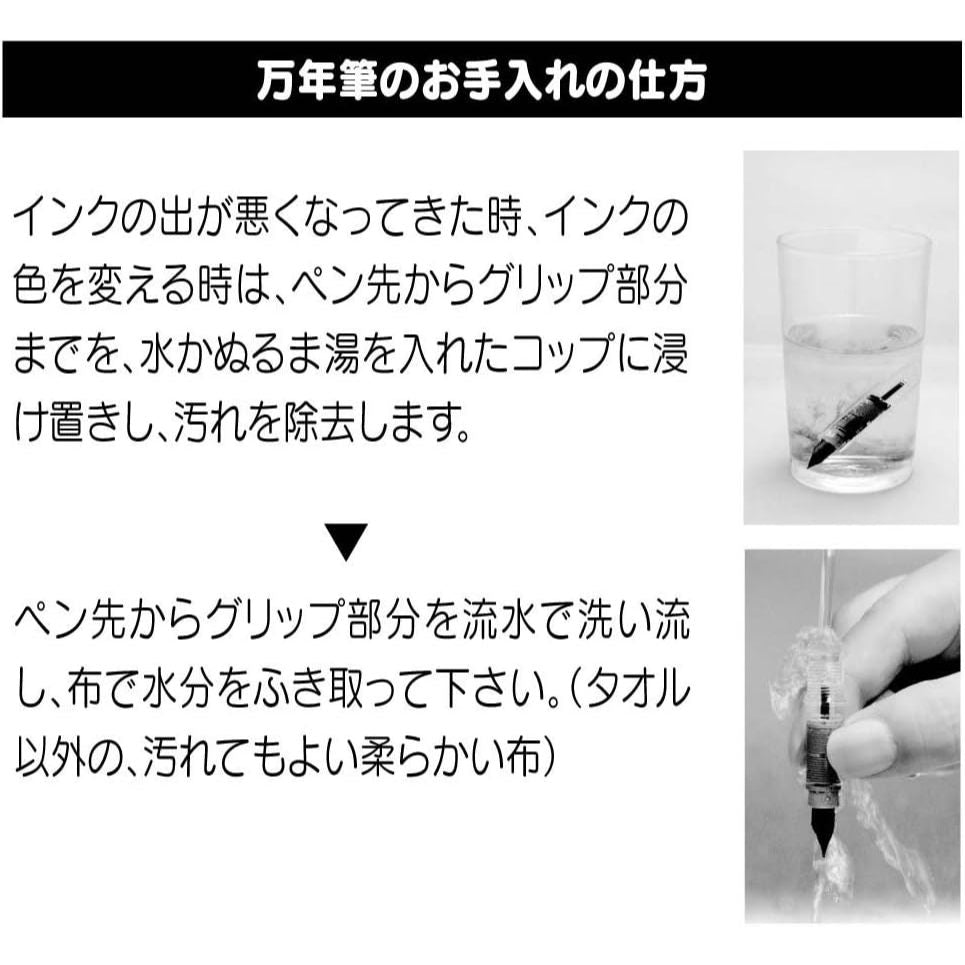 Platinum Fountain Pen Plaisir