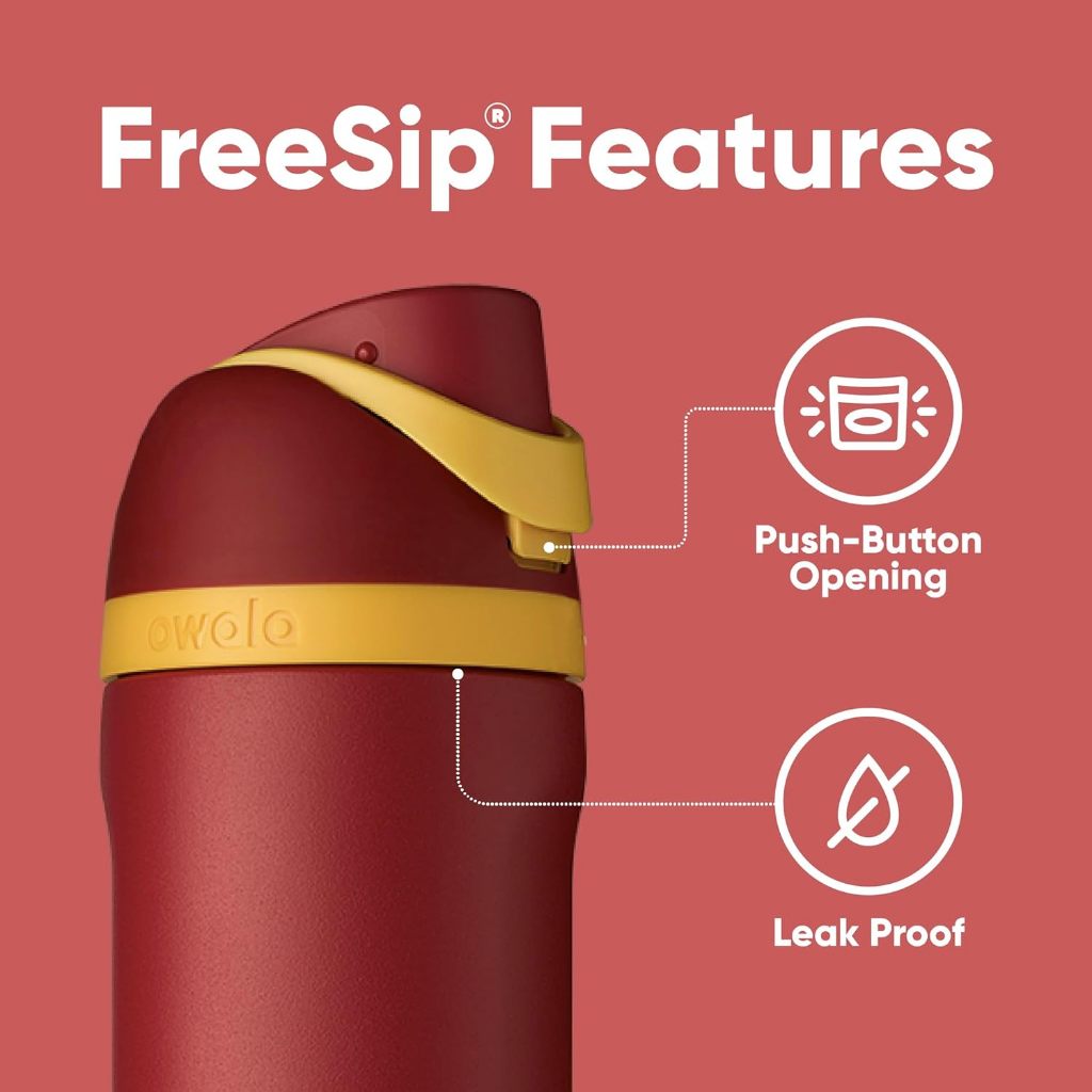 ON HAND Owala Harry Potter FreeSip Insulated Stainless Steel Water Bottle 24oz