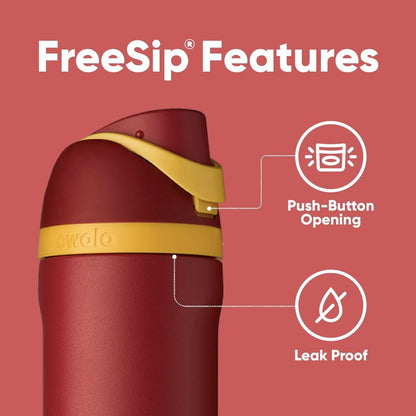 ON HAND Owala Harry Potter FreeSip Insulated Stainless Steel Water Bottle 24oz