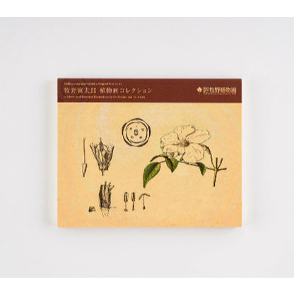 Hobonichi x Tomitaro Makino Botanical Art Collection Postcard Book