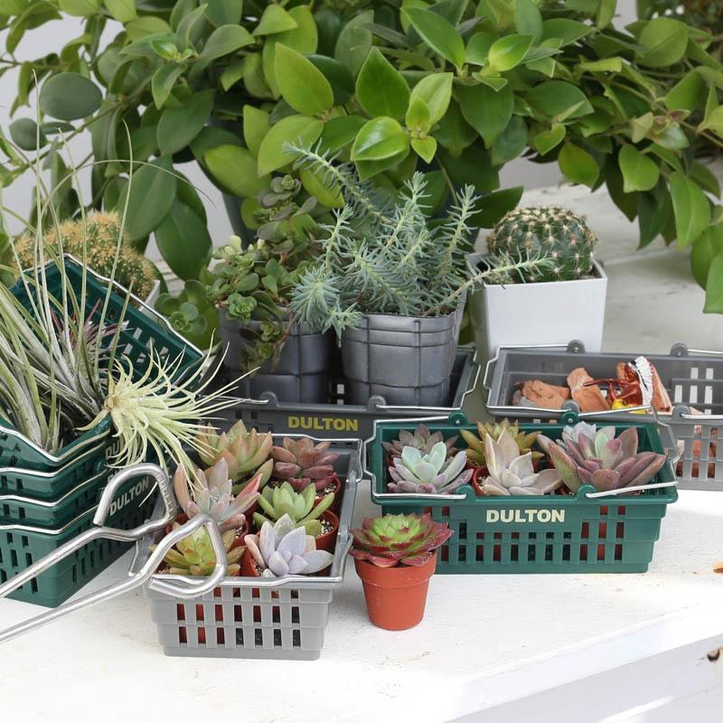 Dulton Desktop Basket