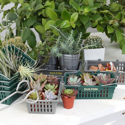 Dulton Desktop Basket