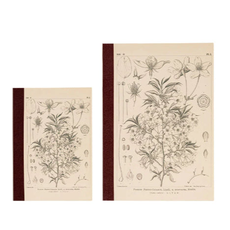 Hobonichi Lined, Blank, Graph Grid Notebook A6 A5