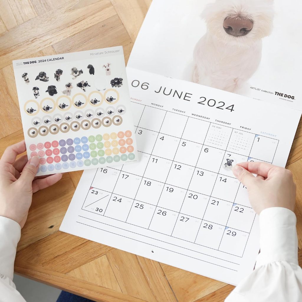 THE DOG 2024 Large Size Calendar [Bichon Frise]