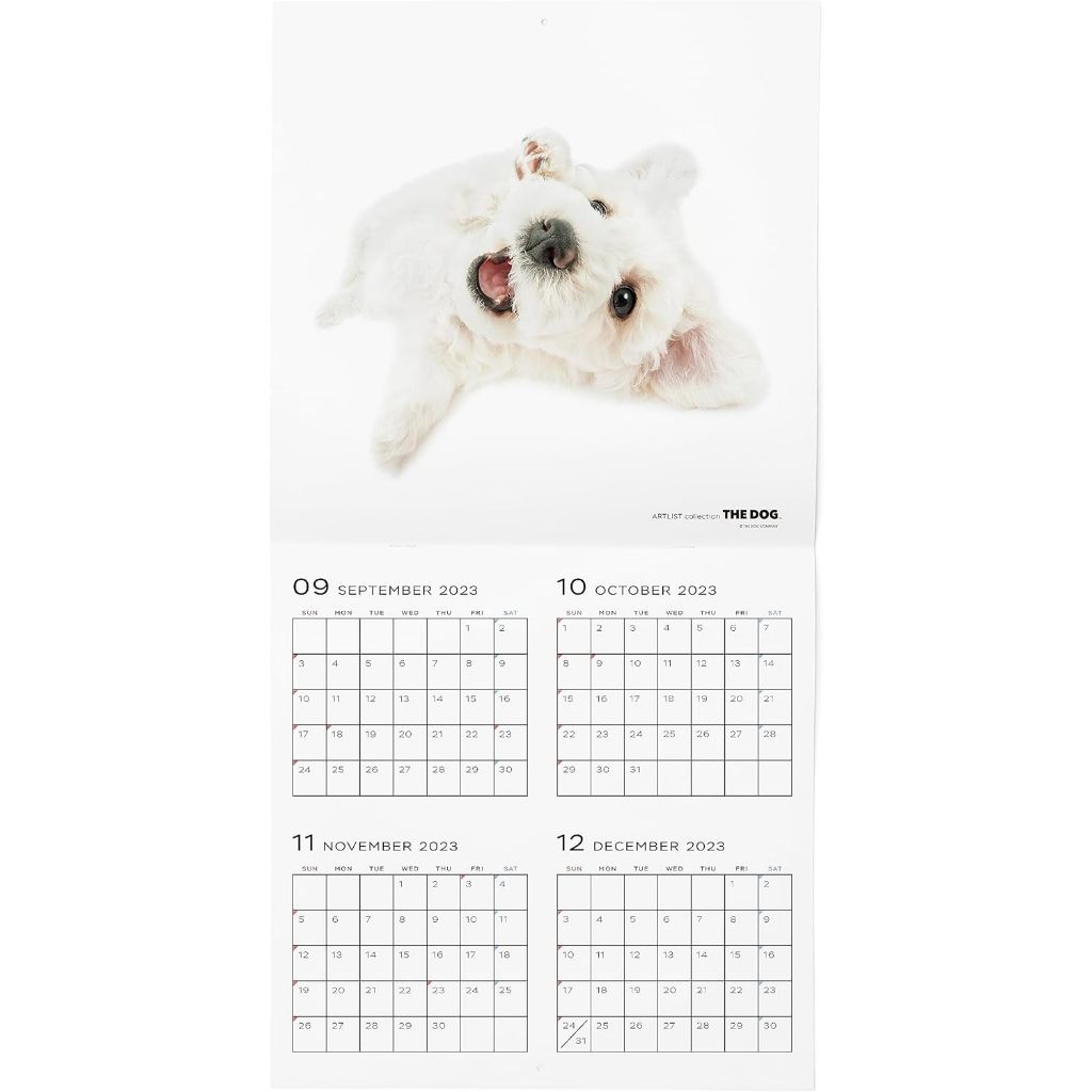 THE DOG 2024 Large Size Calendar [Bichon Frise]