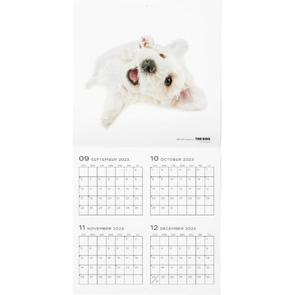 THE DOG 2024 Large Size Calendar [Bichon Frise]