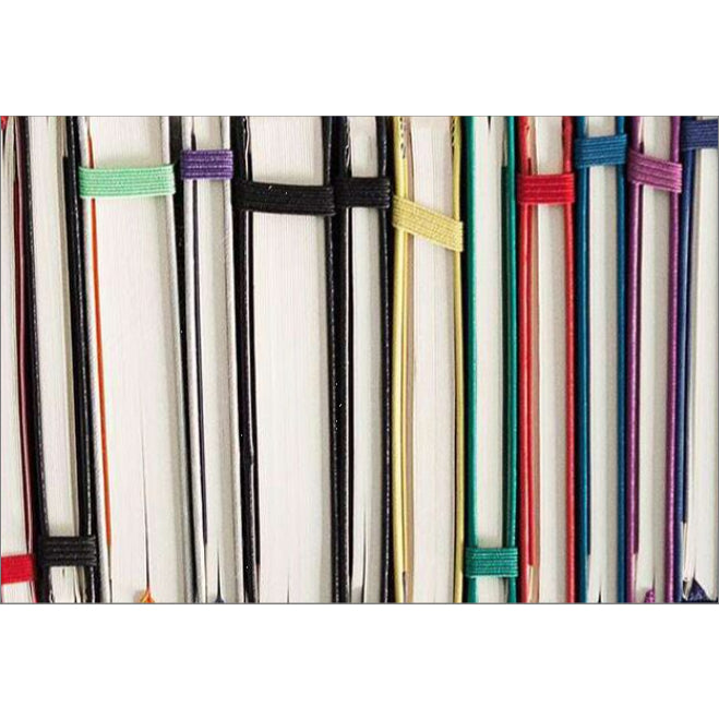 Moleskine Classic Notebook