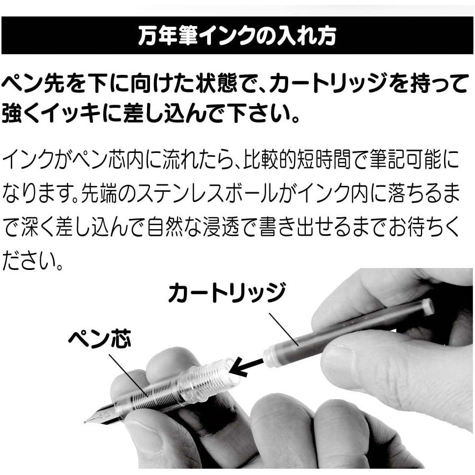 Platinum Fountain Pen Plaisir