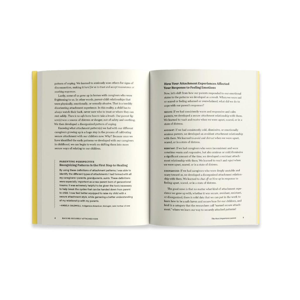 [Paperback] Raising Securely Attached Kids: Using Connection-Focused Parenting by Eli Harwood