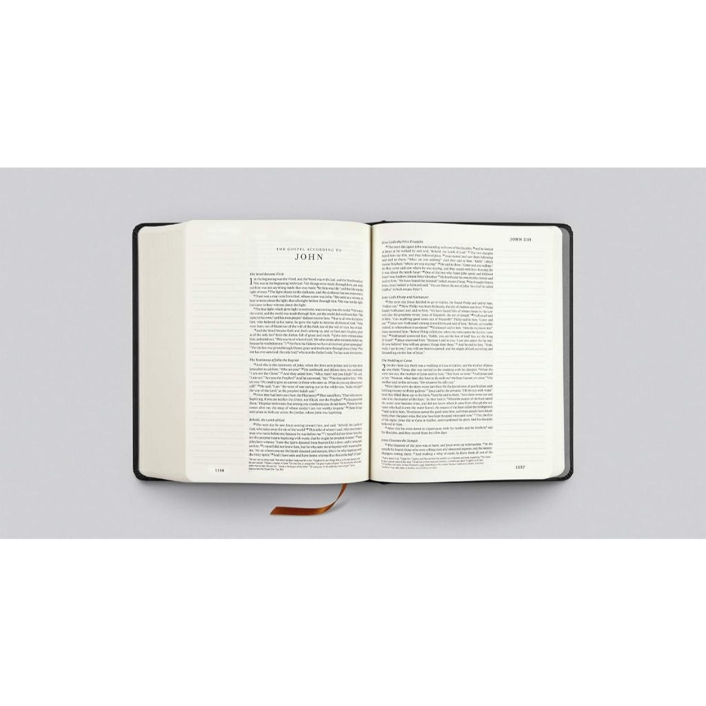 Crossway ESV Single Column Journaling Bible Hardcover Artist Series Joshua Noom The Lion & the Lamb