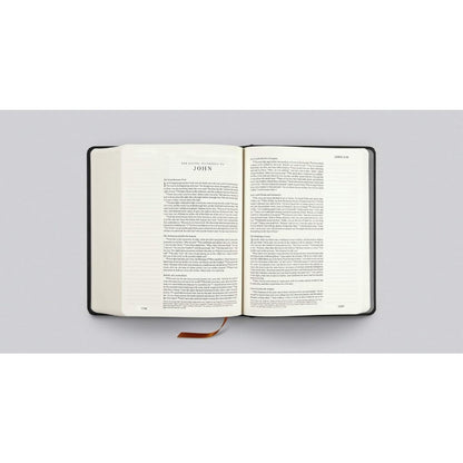 Crossway ESV Single Column Journaling Bible Hardcover Artist Series Joshua Noom The Lion & the Lamb